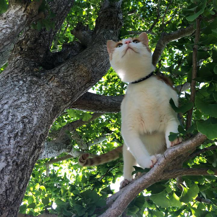 1ab6a601 0e6f 451a 8943 83ef96b7c6b6 1559653202605