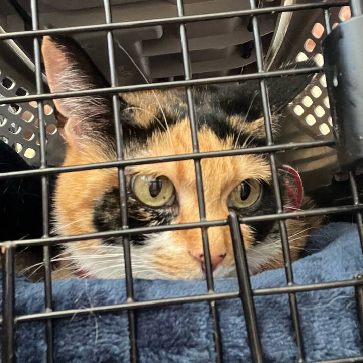 1ab6a6ec a35f 41f4 8e1c fa16654d4559 1686972829369