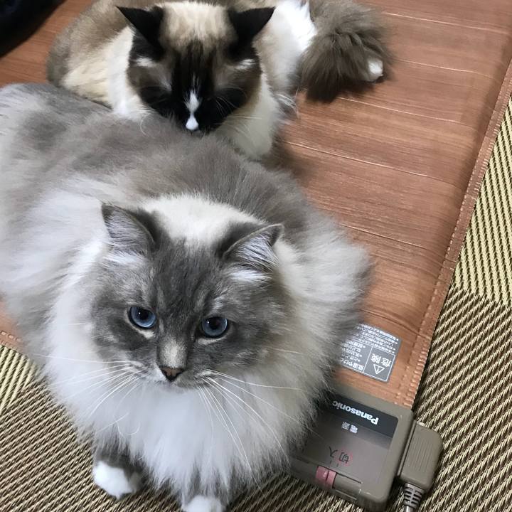 1ab6acf3 1622 484b 8fcc a8cdcb4f8612 1522244582578