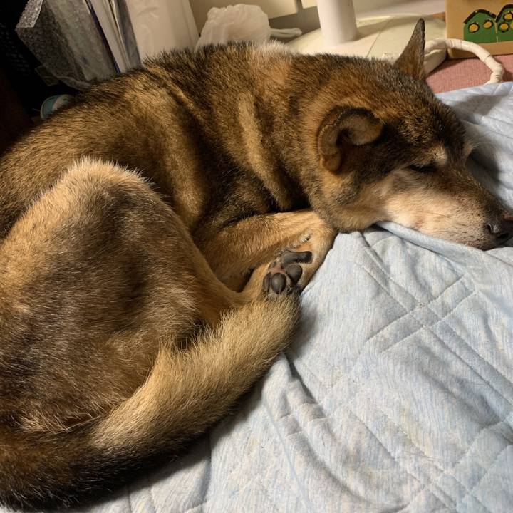 1ab6d056 4bd5 4ca9 880b 4ca085185f55 1570845496647