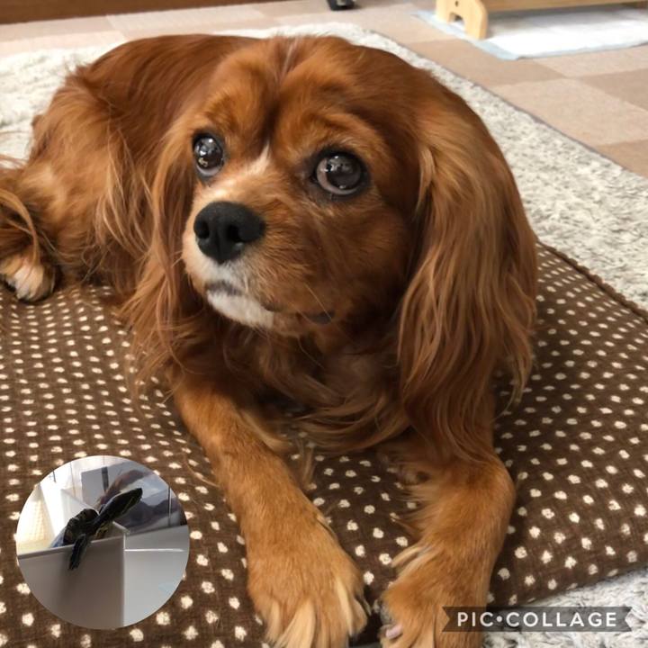 1ab706e0 b886 4b1a bd1b f3574fb8fca2 1589409167799