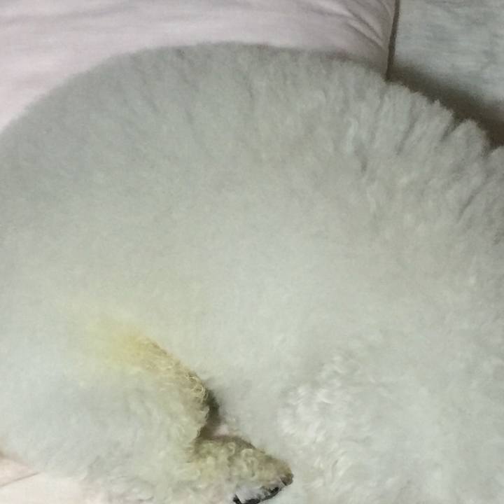 1ab71bec d905 449a b9fd 880d7ed11133 1530272750113