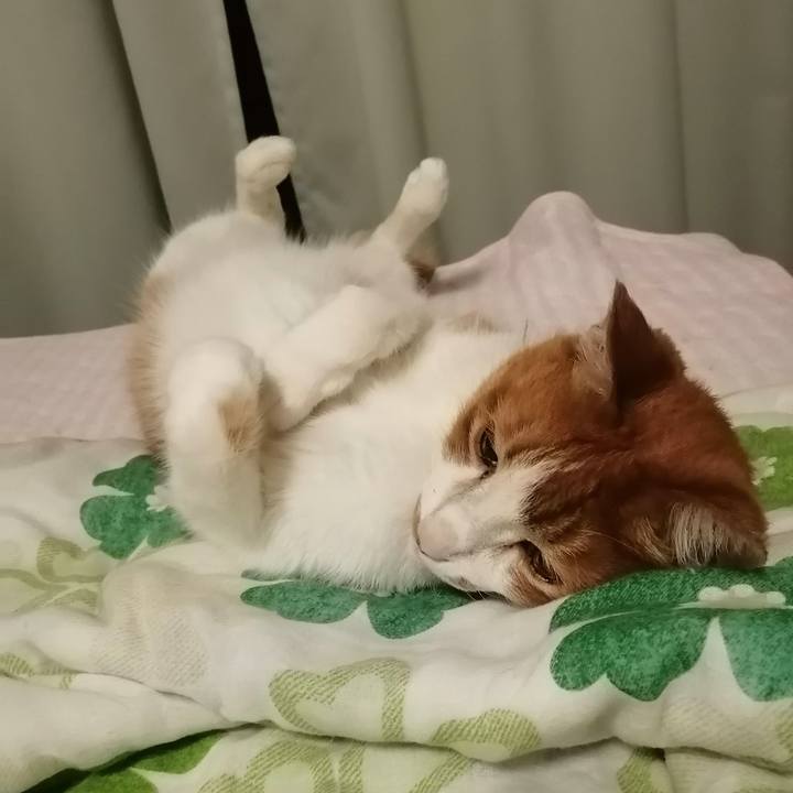 1ab72b88 12d1 41e8 92f5 4cbebac0ecf0 1622725663654