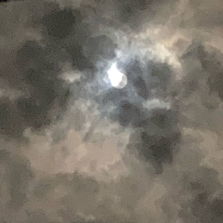 1ab76970 661a 47a1 b3ea 5f435590d213 1729177565535