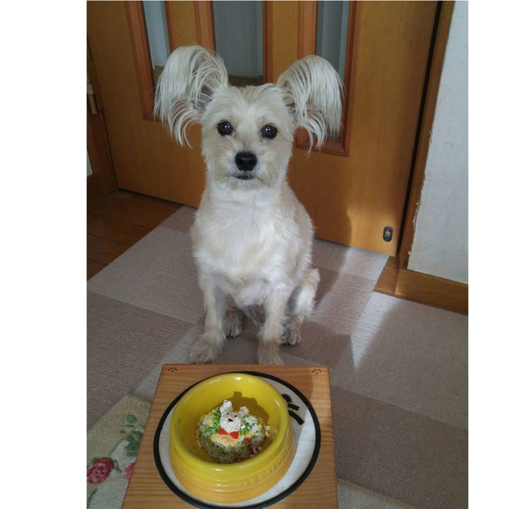 1ab7760a b81b 42aa becc dbdbd85e7222 1516323663957