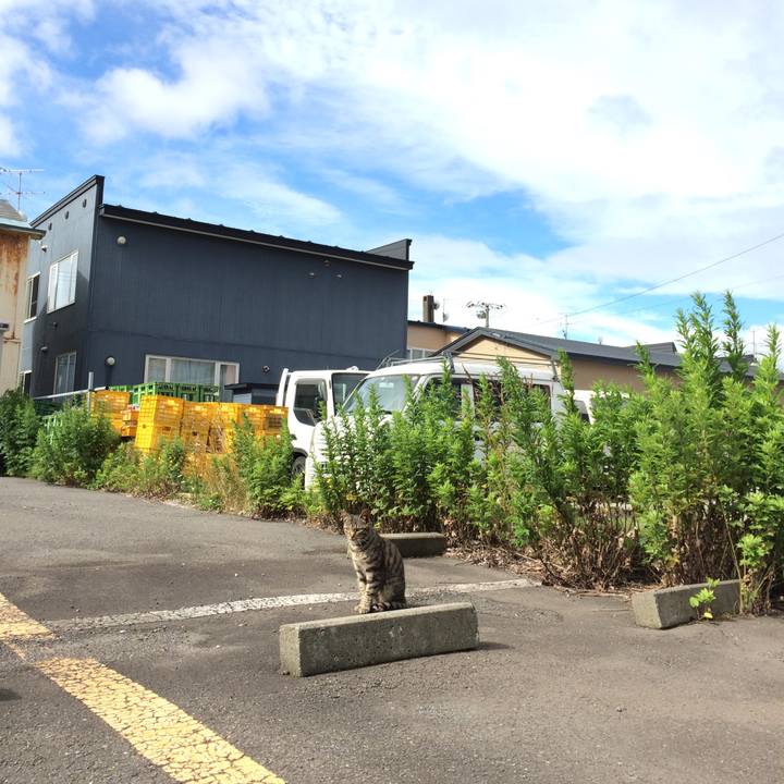 1ab7a7c5 08c5 4e4a a482 592d3e2b0cab 1546877018513