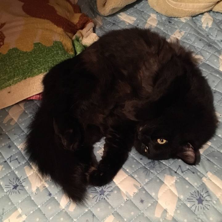 1ab7ad74 9200 40c8 b43c 60ab8e0412ab 1540218393740