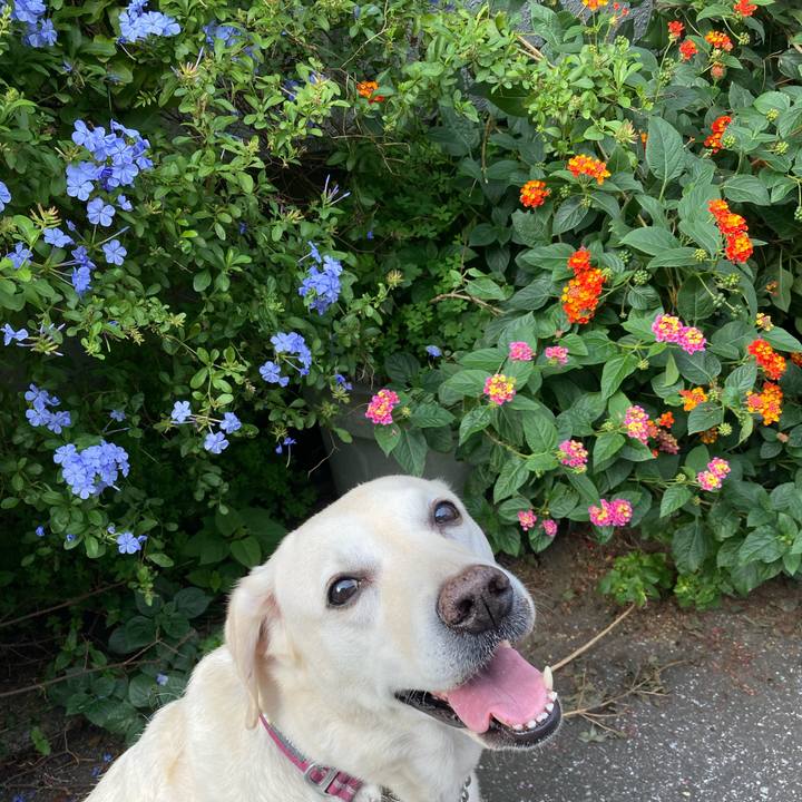 1ab86b8d 4e1e 4d57 9a37 58290300cab9 1730903519849