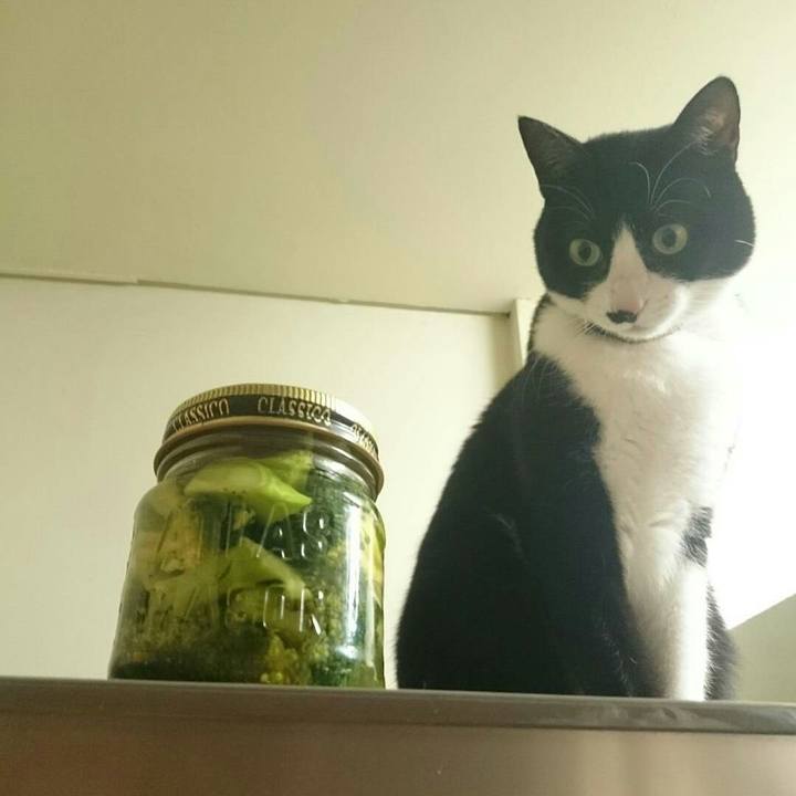 1ab87476 e19a 4d63 ab5d 3ebd9ec79649 1517489485652