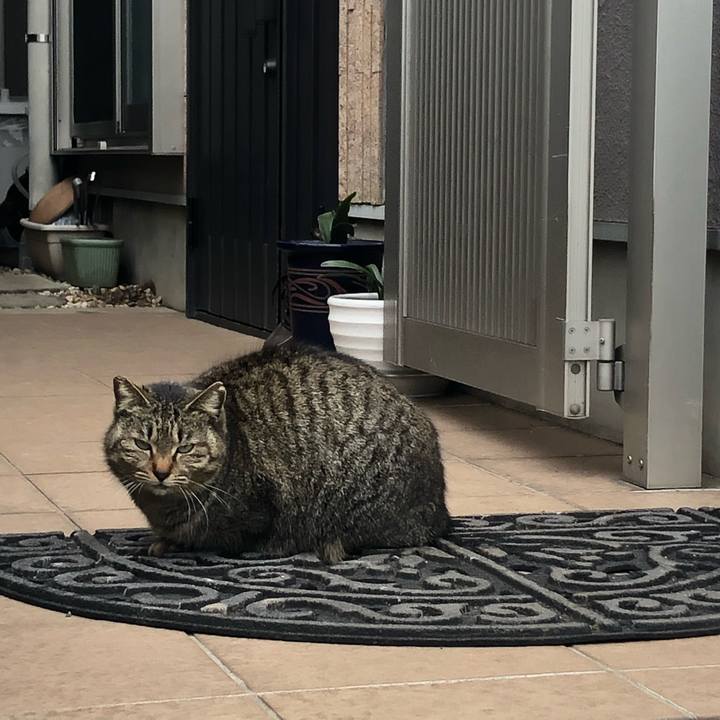 1ab8a56d 3fe5 4ebe 8300 d70368048a6a 1589715506448