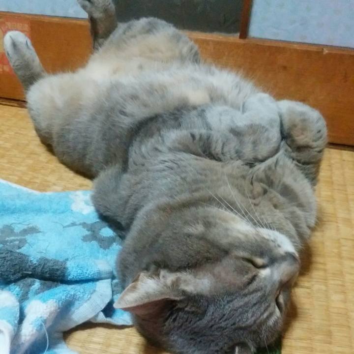 1ab8bcce d040 47dd a318 c9e3678a3b6d 1524332494064