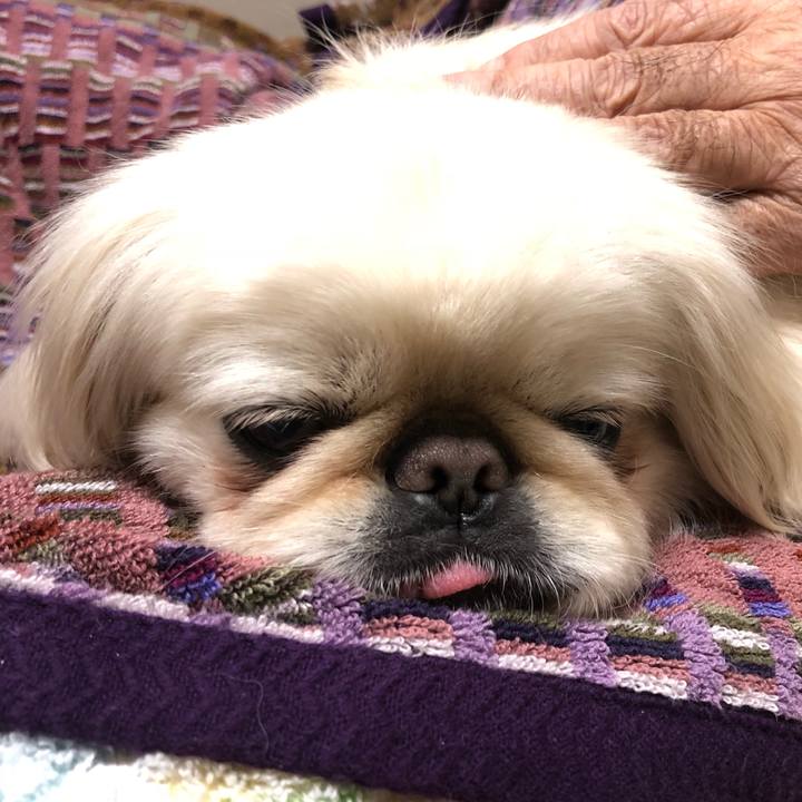 1ab8c7ec 23a2 40f6 a756 5c4cbbffa534 1548760195392