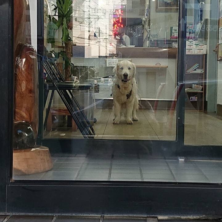 1ab8d6df 9e52 4ad1 be9c 08b5da1e62b7 1590765393611