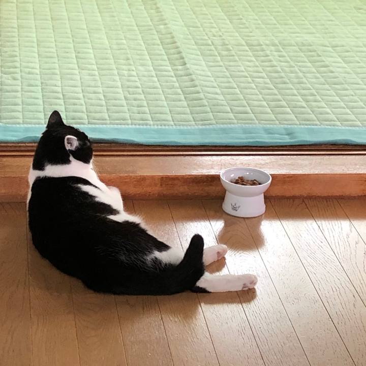 1ab8d8c0 3b0e 446e a5d4 42b988395d1a 1625534857763