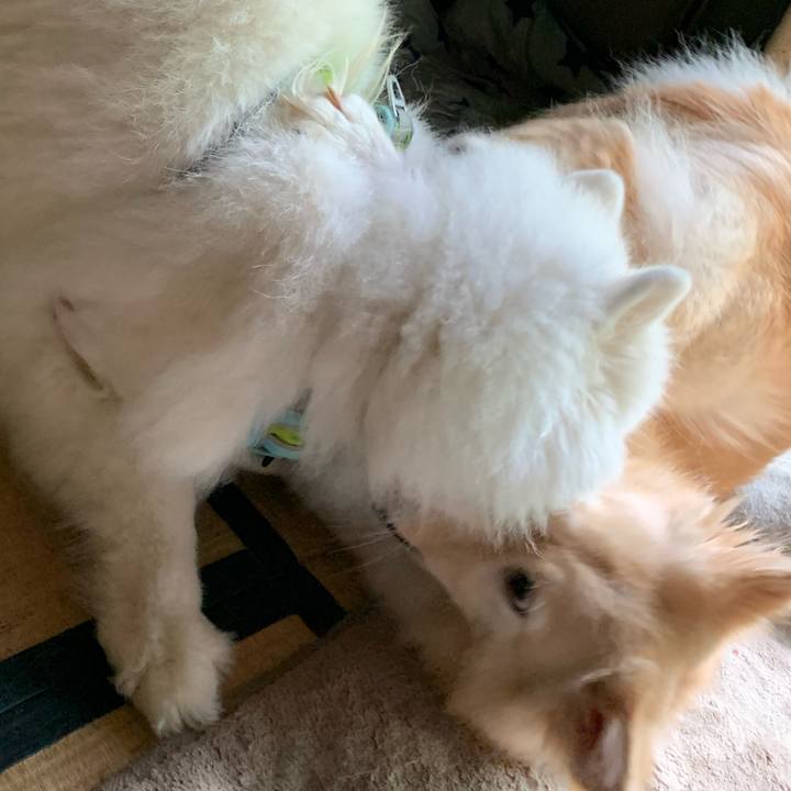 1ab8eabe 2a8b 4ae6 9145 928715adf620 1600760677889