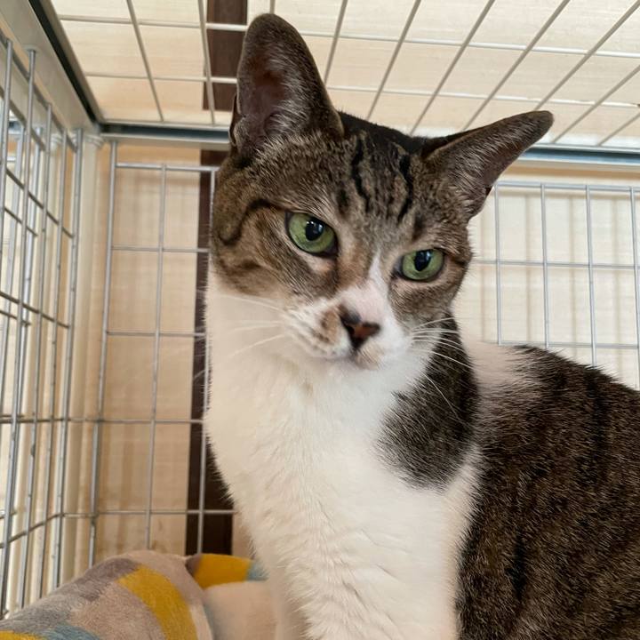 1ab8fef6 48f7 47a0 aa32 cfd0c4b2814e 1633569059774