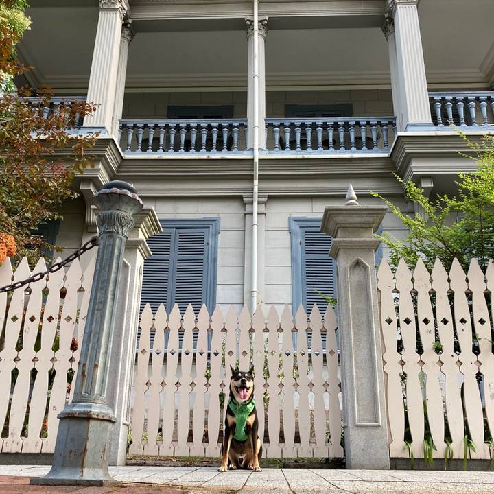 1ab90bee f69d 4564 8b8a c05fbd436948 1598763602229