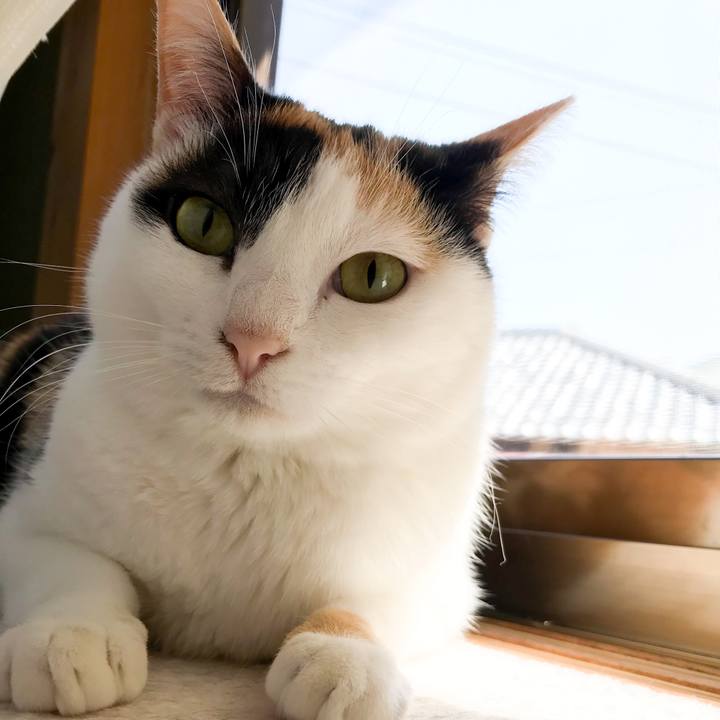 1ab95364 6a1d 4660 ac77 c7ec3553f657 1522895039940