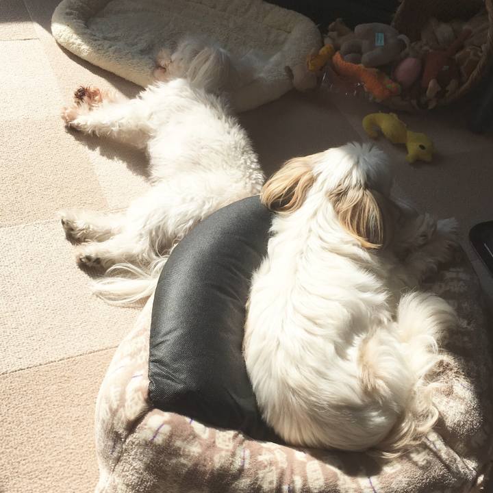 1ab95bc7 e39b 4042 bacd cb54d3dd5e3a 1510020647761