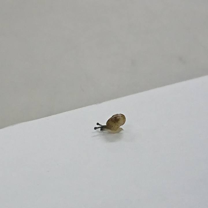 1ab97b33 921f 4aa2 a027 a999a123def0 1591364483148