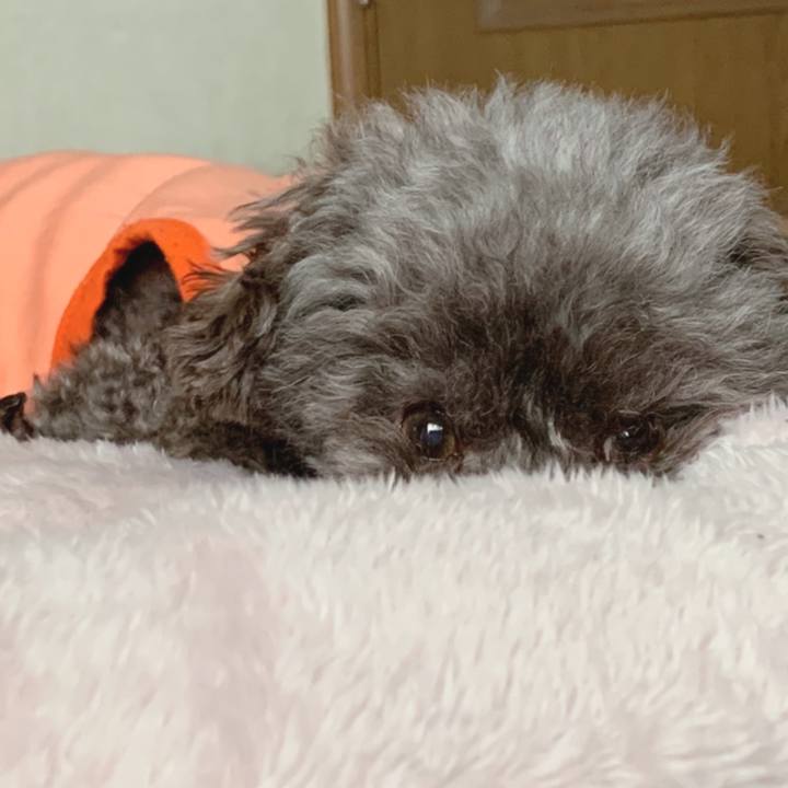 1ab98b05 9bba 452d 8fbf 7876efa6cf67 1647676382050