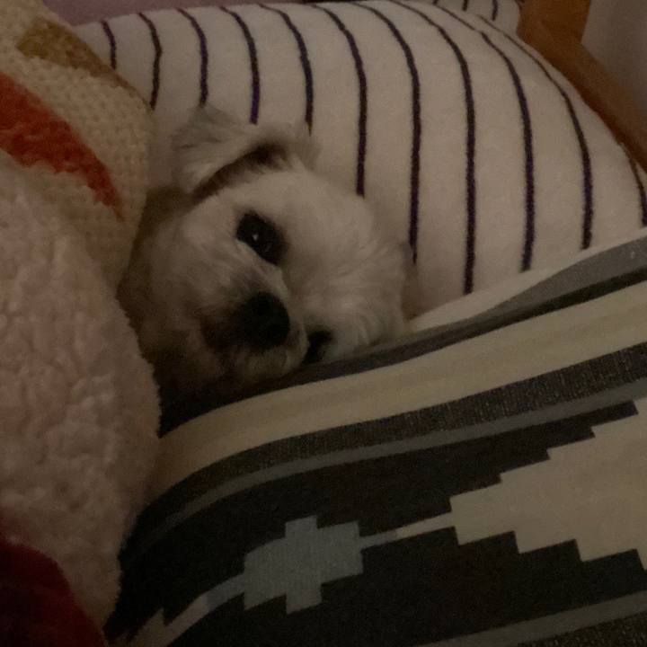 1ab9d09b 3ed6 4585 a002 cdf67d3b34c8 1579840488557