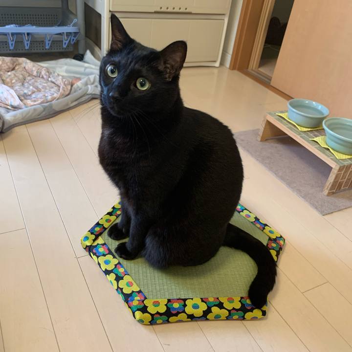 1ab9d661 a1b5 4936 b5d9 6935912f18ab 1730820690933