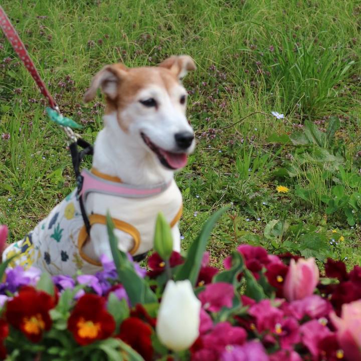 1ab9dfa8 bb93 49db a9f9 9527bb14d3cc 1619182267317