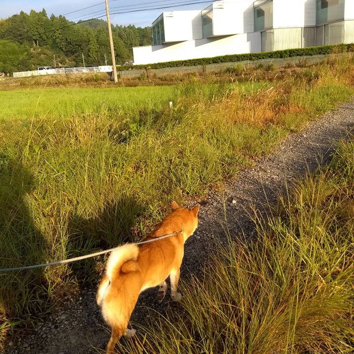 1ab9f41c dbe3 4a77 8990 4de22510c5d1 1537350325015