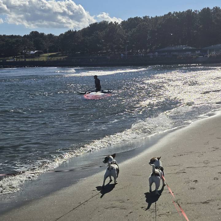 1ab9fac7 b41a 47d6 a12f f2800b6c2cf0 1768027126211