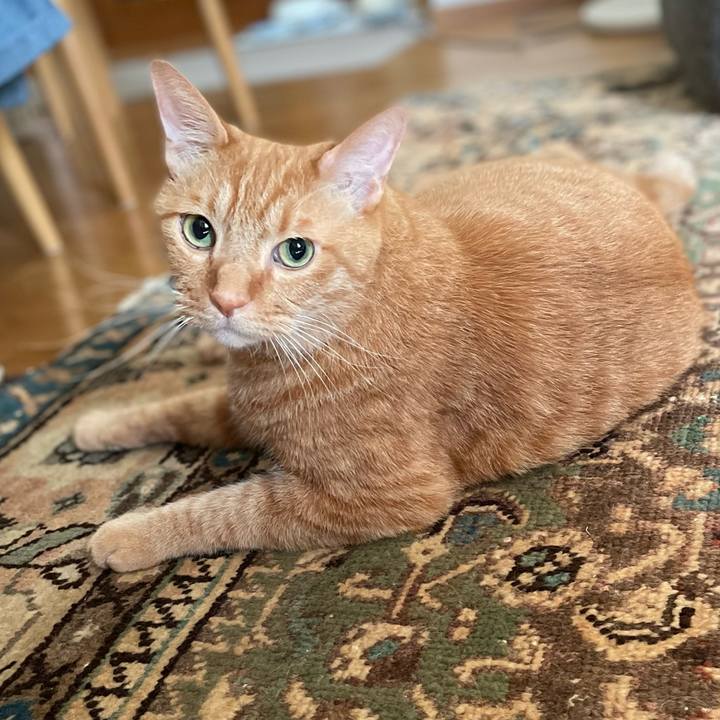 1aba0f30 b481 432f 9e12 c7c8f094a3b4 1662764347186