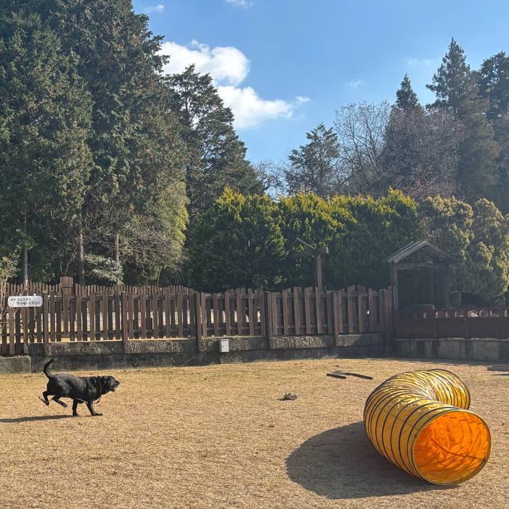 1aba201b 95d1 4e99 9b89 5355673e4576 1765117006069