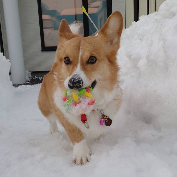 1aba2256 2930 4b9e b95b b0008249fbf3 1771657503875