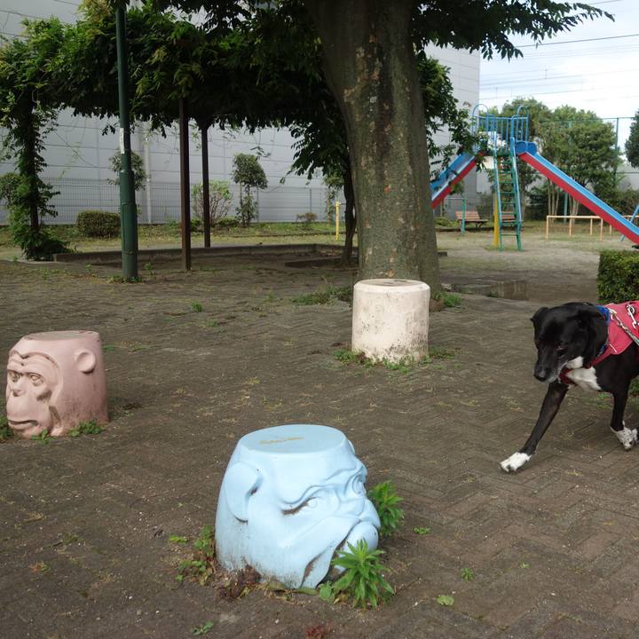 1aba2976 f67e 4f60 aefb aa96d43b57d4 1688171768544