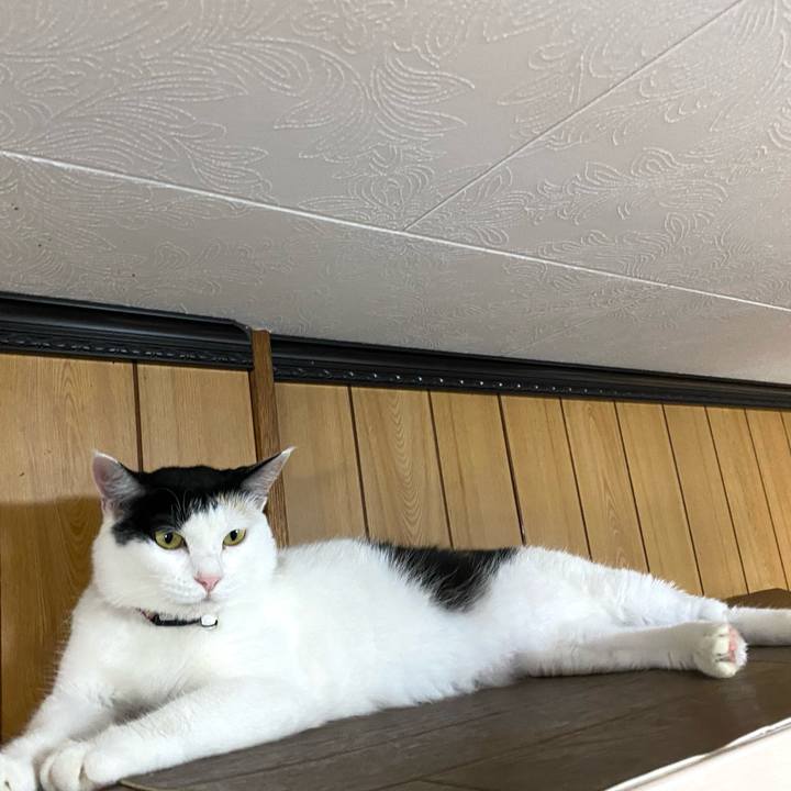 1aba4658 60a1 499a 9301 99bae95d3f9b 1658752660503