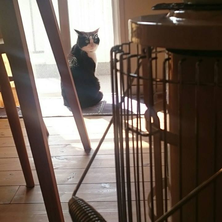 1abacef3 a6fd 4d39 9243 c876b2fe26a4 1551537628874