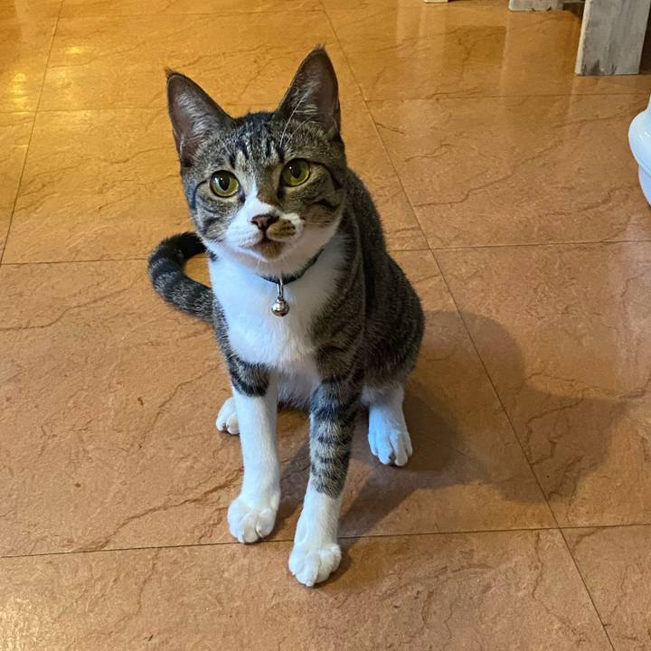 1abaedf2 a8eb 4c87 bb7e 0c22f70d0188 1661158605464