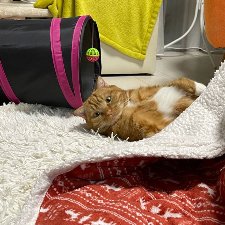 1abaf7ae d712 4d6b b4c2 1122c19ef1e7 1614954916120