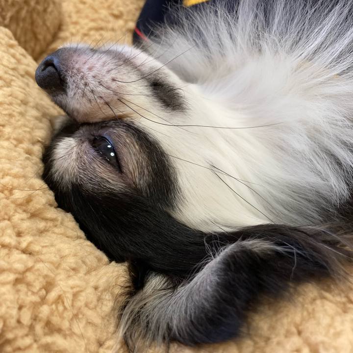 1abb1e20 a8ed 4221 ae1c 15a20505013b 1643522241034