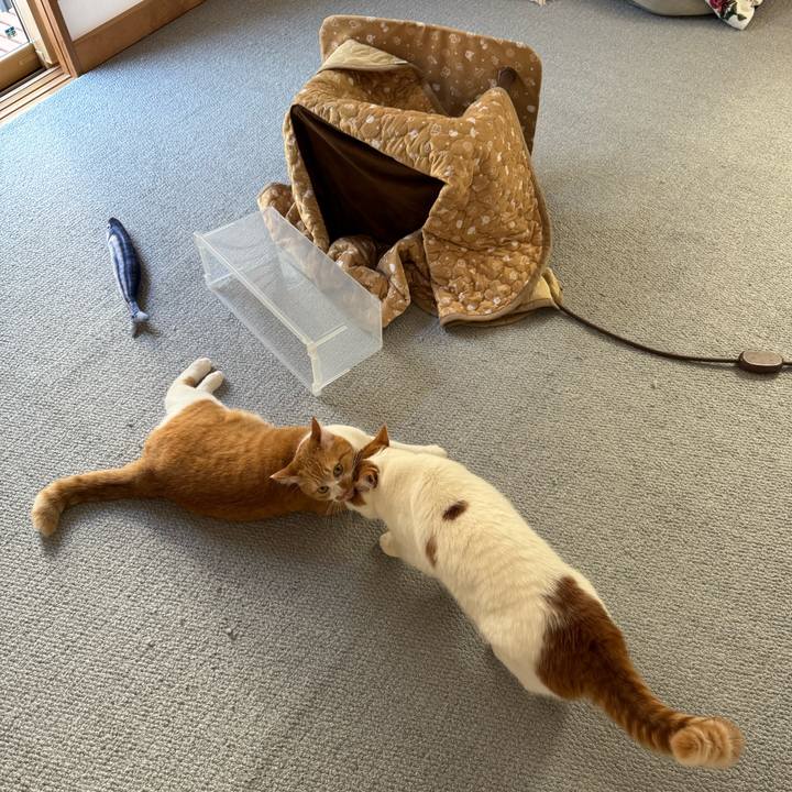 1abb3a95 d0dd 452b a3d3 664371e7425a 1767500110686