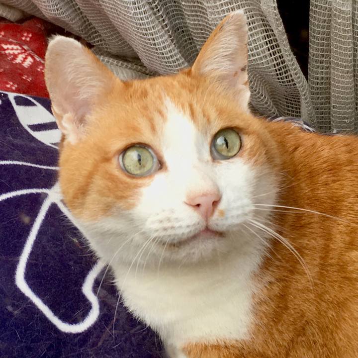 1abbcae7 56a6 4b61 8fc9 8230fb88ad63 1581576857751