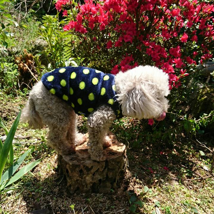 1abbd545 9be7 492b bd88 d13f08495168 1525568626336