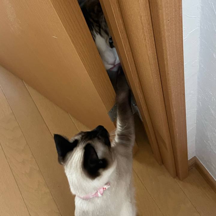 1abbe455 fa15 46b1 a295 7b1136674bc9 1713657620908