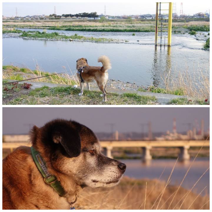 1abbfaf8 31e1 40fd 8d4d 394dd9eeb241 1665191822102