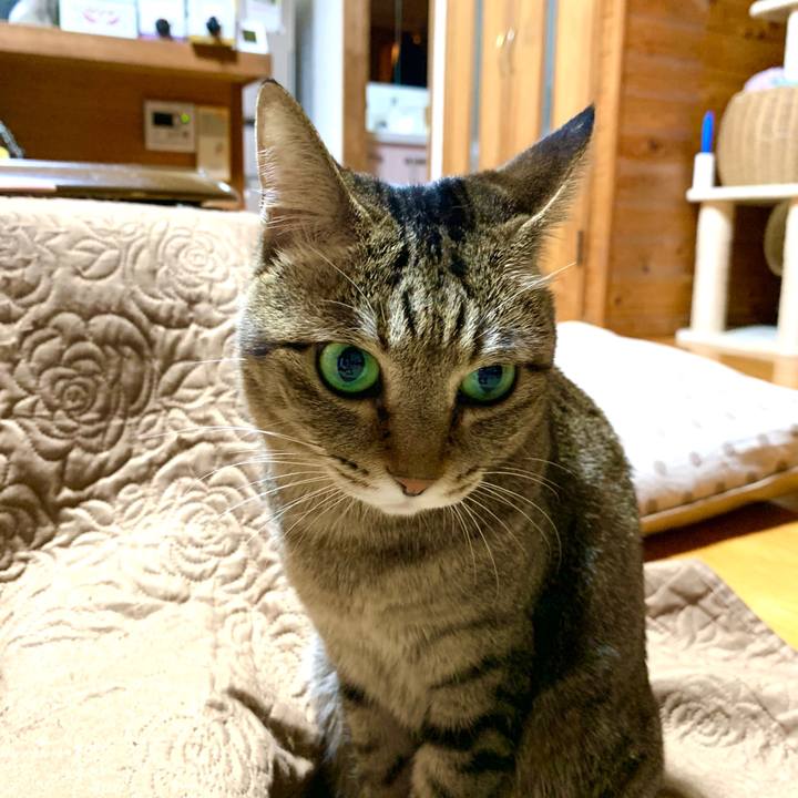 1abc00de b763 4f32 922f 90dd4d6d592b 1589551371147