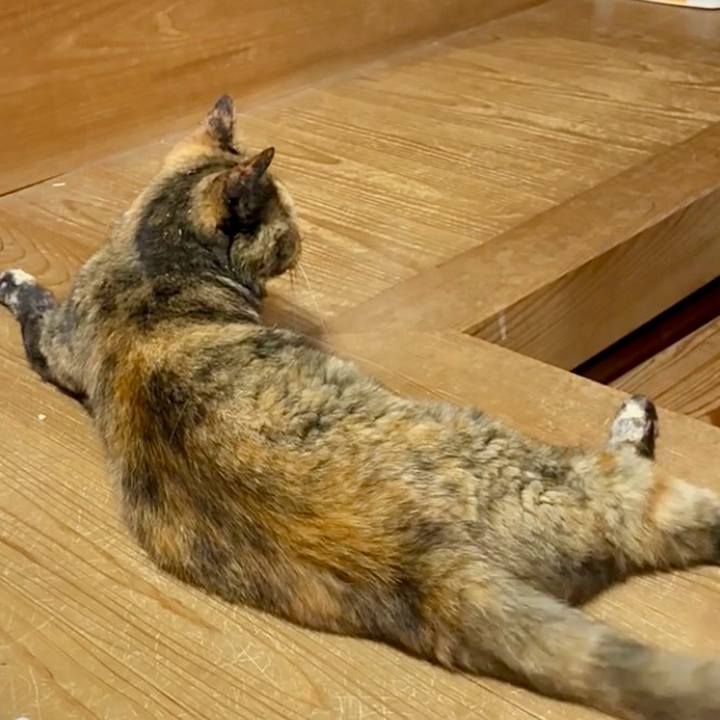 1abc2445 4094 4e71 9e03 965c810e3664 1753583231785