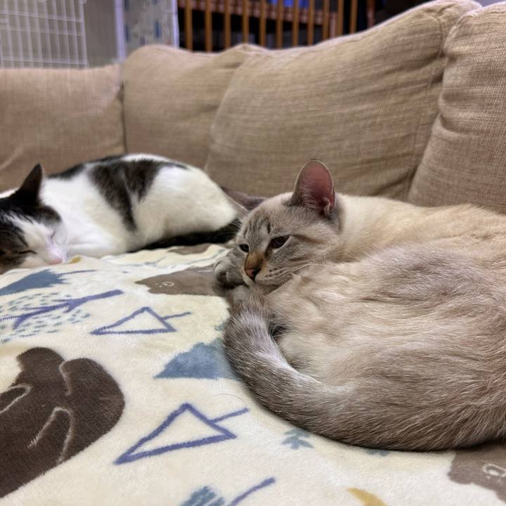 1abc2dde 4963 4fde b4fd 5ec8305f2df8 1732542441919