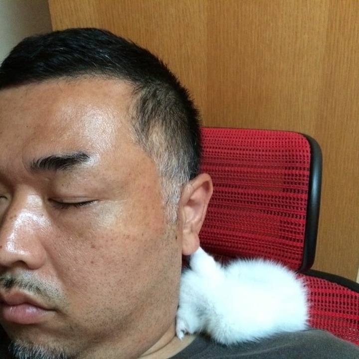 1abca22d 6f17 46fe 9c50 43a0c6b8bc41 1531091530339