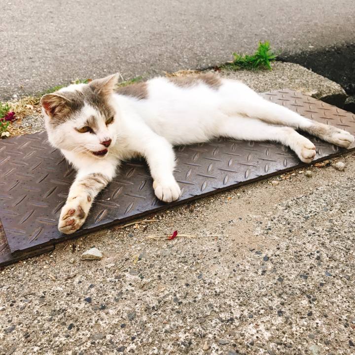 1abca4e6 d771 49cc 899e f6b565b90470 1530748817391