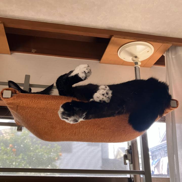 1abcaac7 87ec 48a6 9092 12a22bae818f 1744953104724